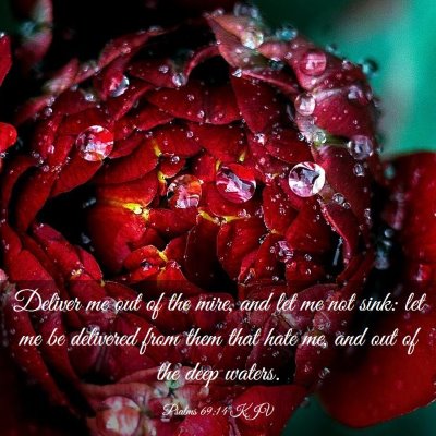 Picture 03 - Psalms 69:14 KJV - Deliver me out of the mire, and let me not sink: - Bible Verse Picture