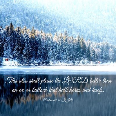 Picture 03 - Psalms 69:31 KJV - This also shall please the LORD better than an ox - Bible Verse Picture
