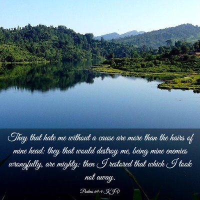 Picture 03 - Psalms 69:4 KJV - They that hate me without a cause are more than - Bible Verse Picture