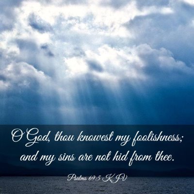 Picture 03 - Psalms 69:5 KJV - O God, thou knowest my foolishness; and my sins - Bible Verse Picture
