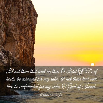 Picture 03 - Psalms 69:6 KJV - Let not them that wait on thee, O Lord GOD of - Bible Verse Picture