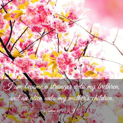 Picture 03 - Psalms 69:8 KJV - I am become a stranger unto my brethren, and an - Bible Verse Picture