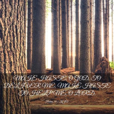 Picture 03 - Psalms 70:1 KJV - MAKE HASTE, O GOD, TO DELIVER ME; MAKE HASTE TO - Bible Verse Picture
