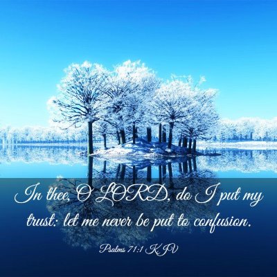 Picture 03 - Psalms 71:1 KJV - In thee, O LORD, do I put my trust: let me never - Bible Verse Picture