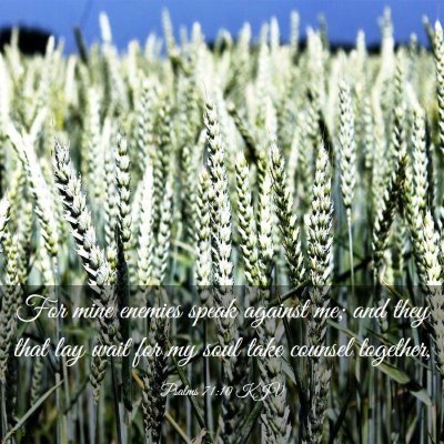 Picture 03 - Psalms 71:10 KJV - For mine enemies speak against me; and they that - Bible Verse Picture