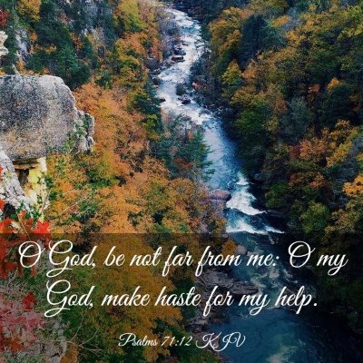 Picture 03 - Psalms 71:12 KJV - O God, be not far from me: O my God, make haste - Bible Verse Picture