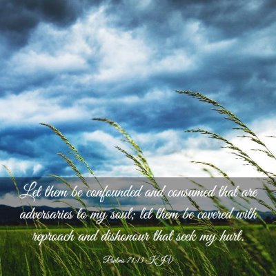 Picture 03 - Psalms 71:13 KJV - Let them be confounded and consumed that are - Bible Verse Picture