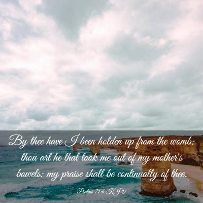 Picture 03 - Psalms 71:6 KJV - By thee have I been holden up from the womb: thou - Bible Verse Picture