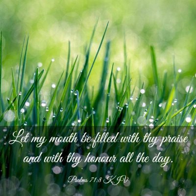 Picture 03 - Psalms 71:8 KJV - Let my mouth be filled with thy praise and with - Bible Verse Picture