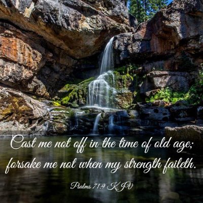 Picture 03 - Psalms 71:9 KJV - Cast me not off in the time of old age; forsake - Bible Verse Picture