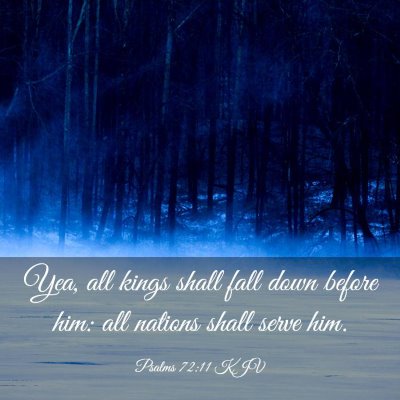 Picture 03 - Psalms 72:11 KJV - Yea, all kings shall fall down before him: all - Bible Verse Picture