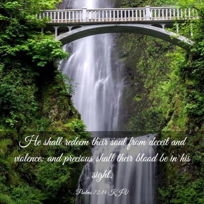 Picture 03 - Psalms 72:14 KJV - He shall redeem their soul from deceit and - Bible Verse Picture