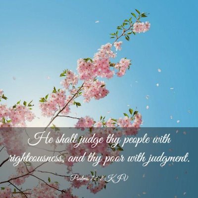 Picture 03 - Psalms 72:2 KJV - He shall judge thy people with righteousness, and - Bible Verse Picture