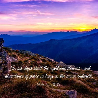Picture 03 - Psalms 72:7 KJV - In his days shall the righteous flourish; and - Bible Verse Picture