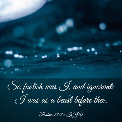 Picture 03 - Psalms 73:22 KJV - So foolish was I, and ignorant: I was as a beast - Bible Verse Picture