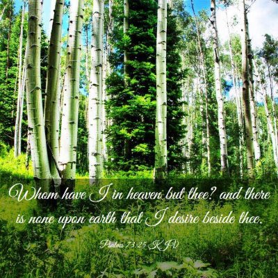 Picture 03 - Psalms 73:25 KJV - Whom have I in heaven but thee? and there is none - Bible Verse Picture