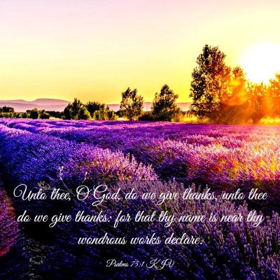 Picture 03 - Psalms 75:1 KJV - Unto thee, O God, do we give thanks, unto thee do - Bible Verse Picture