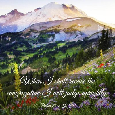 Picture 03 - Psalms 75:2 KJV - When I shall receive the congregation I will - Bible Verse Picture