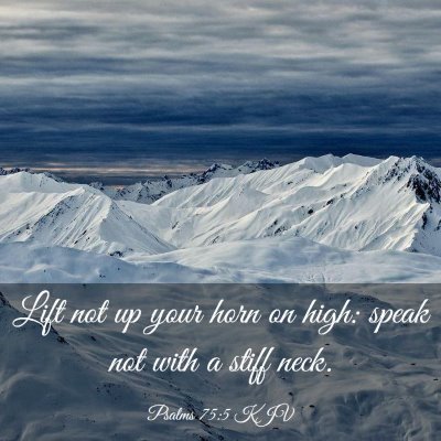 Picture 03 - Psalms 75:5 KJV - Lift not up your horn on high: speak not with a - Bible Verse Picture