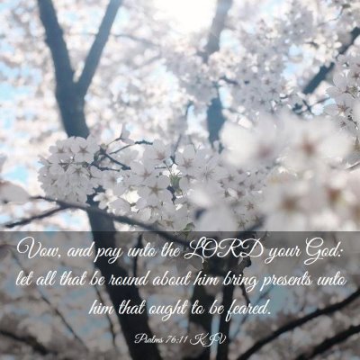 Picture 03 - Psalms 76:11 KJV - Vow, and pay unto the LORD your God: let all that - Bible Verse Picture