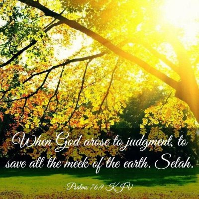 Picture 03 - Psalms 76:9 KJV - When God arose to judgment, to save all the meek - Bible Verse Picture