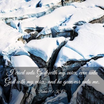 Picture 03 - Psalms 77:1 KJV - I cried unto God with my voice, even unto God - Bible Verse Picture