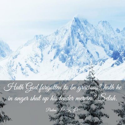 Picture 03 - Psalms 77:9 KJV - Hath God forgotten to be gracious? hath he in - Bible Verse Picture