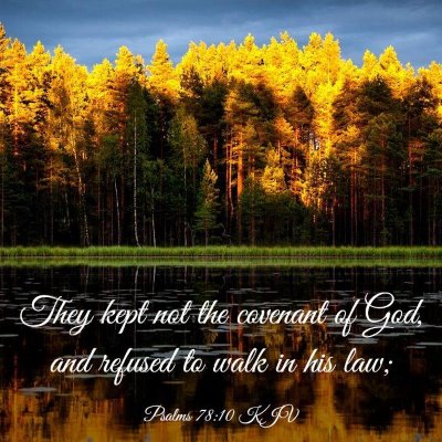 Picture 03 - Psalms 78:10 KJV - They kept not the covenant of God, and refused to - Bible Verse Picture