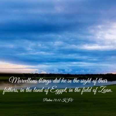 Picture 03 - Psalms 78:12 KJV - Marvellous things did he in the sight of their - Bible Verse Picture