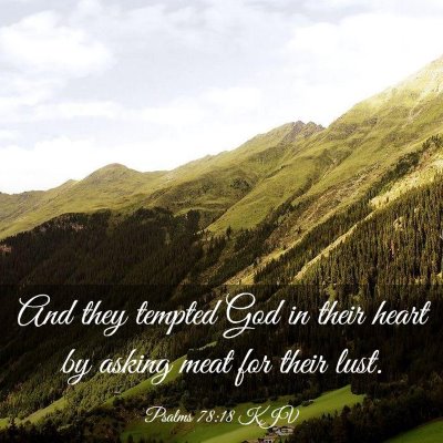 Picture 03 - Psalms 78:18 KJV - And they tempted God in their heart by asking - Bible Verse Picture