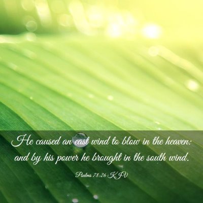 Picture 03 - Psalms 78:26 KJV - He caused an east wind to blow in the heaven: and - Bible Verse Picture