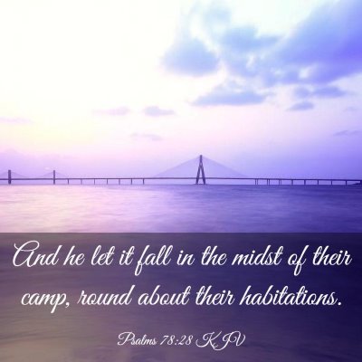 Picture 03 - Psalms 78:28 KJV - And he let it fall in the midst of their camp, - Bible Verse Picture