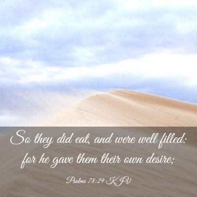 Picture 03 - Psalms 78:29 KJV - So they did eat, and were well filled: for he - Bible Verse Picture