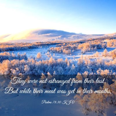 Picture 03 - Psalms 78:30 KJV - They were not estranged from their lust. But - Bible Verse Picture