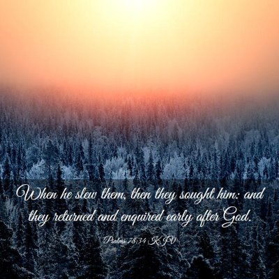 Picture 03 - Psalms 78:34 KJV - When he slew them, then they sought him: and they - Bible Verse Picture
