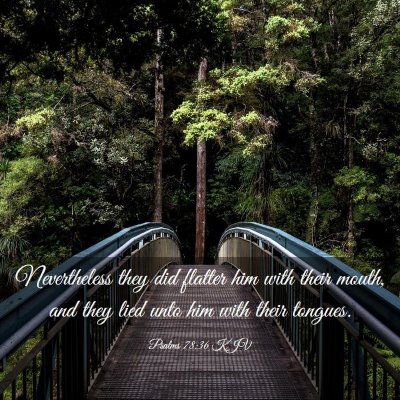 Picture 03 - Psalms 78:36 KJV - Nevertheless they did flatter him with their - Bible Verse Picture