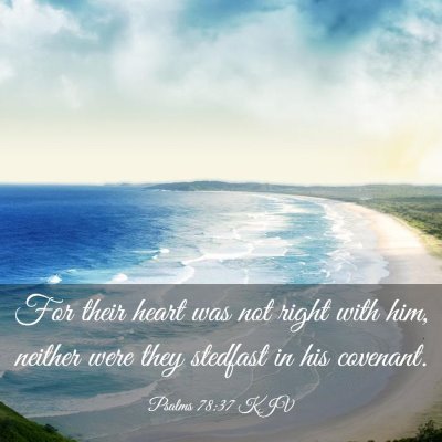 Picture 03 - Psalms 78:37 KJV - For their heart was not right with him, neither - Bible Verse Picture
