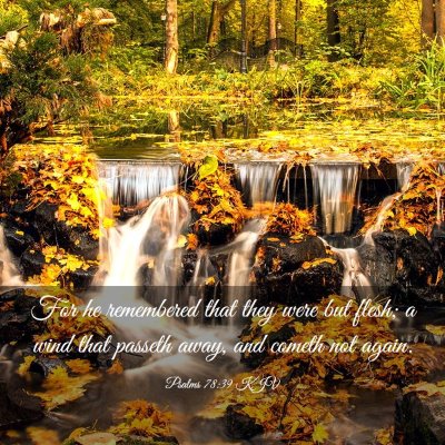 Picture 03 - Psalms 78:39 KJV - For he remembered that they were but flesh; a - Bible Verse Picture
