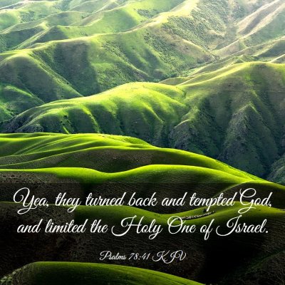 Picture 03 - Psalms 78:41 KJV - Yea, they turned back and tempted God, and - Bible Verse Picture