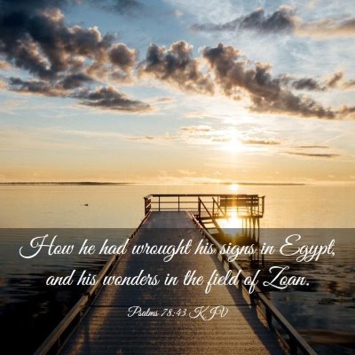 Picture 03 - Psalms 78:43 KJV - How he had wrought his signs in Egypt, and his - Bible Verse Picture