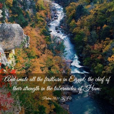 Picture 03 - Psalms 78:51 KJV - And smote all the firstborn in Egypt; the chief - Bible Verse Picture