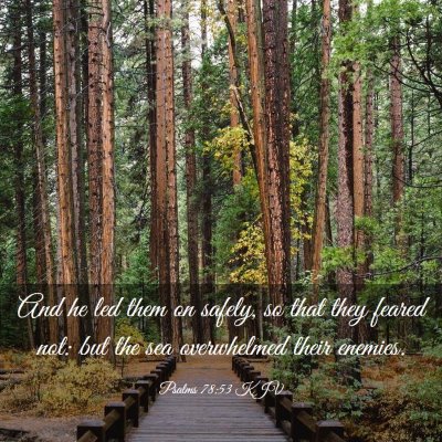 Picture 03 - Psalms 78:53 KJV - And he led them on safely, so that they feared - Bible Verse Picture