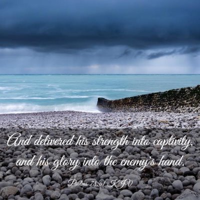 Picture 03 - Psalms 78:61 KJV - And delivered his strength into captivity, and - Bible Verse Picture