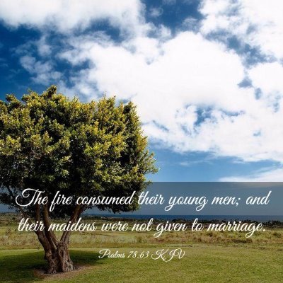 Picture 03 - Psalms 78:63 KJV - The fire consumed their young men; and their - Bible Verse Picture