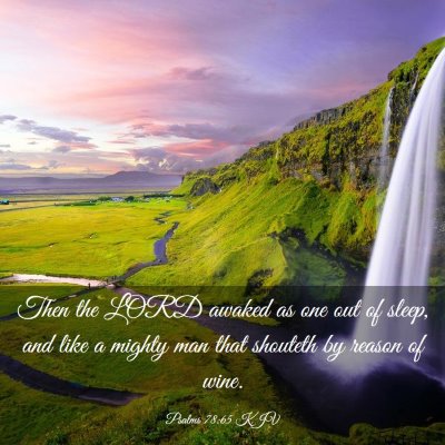 Picture 03 - Psalms 78:65 KJV - Then the LORD awaked as one out of sleep, and - Bible Verse Picture