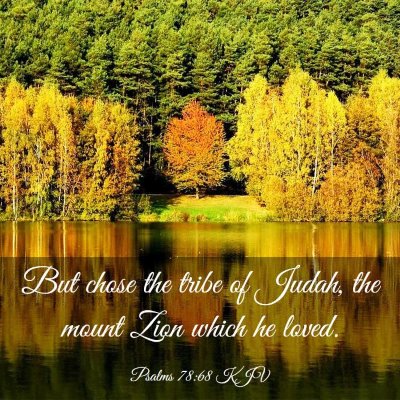 Picture 03 - Psalms 78:68 KJV - But chose the tribe of Judah, the mount Zion - Bible Verse Picture