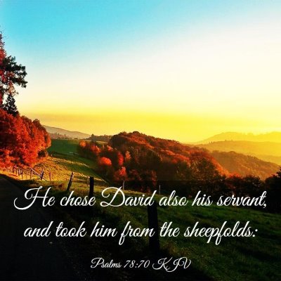 Picture 03 - Psalms 78:70 KJV - He chose David also his servant, and took him - Bible Verse Picture