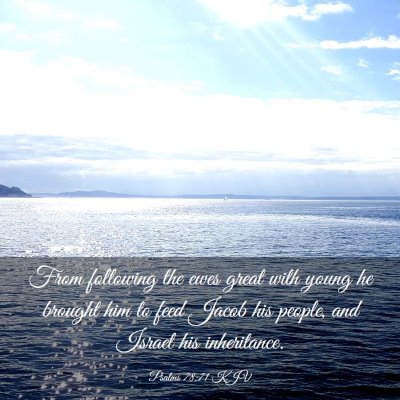 Picture 03 - Psalms 78:71 KJV - From following the ewes great with young he - Bible Verse Picture