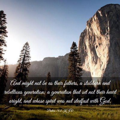 Picture 03 - Psalms 78:8 KJV - And might not be as their fathers, a stubborn and - Bible Verse Picture