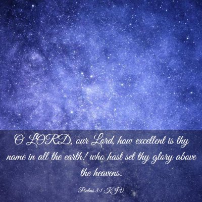 Picture 03 - Psalms 8:1 KJV - O LORD, our Lord, how excellent is thy name in - Bible Verse Picture